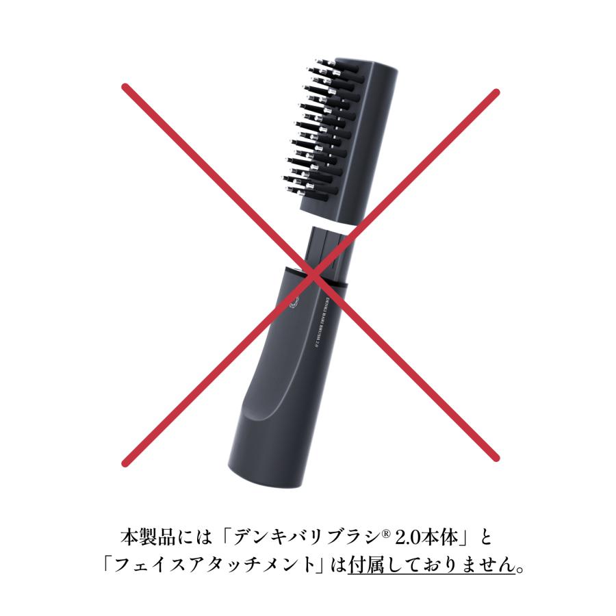 【正規販売店】ELECTRON  DENKI BARI BRUSH デンキバリブラシ（R）2.0用 ボディアタッチメント｜spashan-store｜04