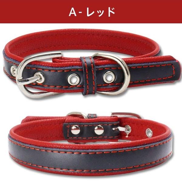 お値下げ‼️for pets only  首輪 パピ お値下げ‼️for pets only 首輪 パピ