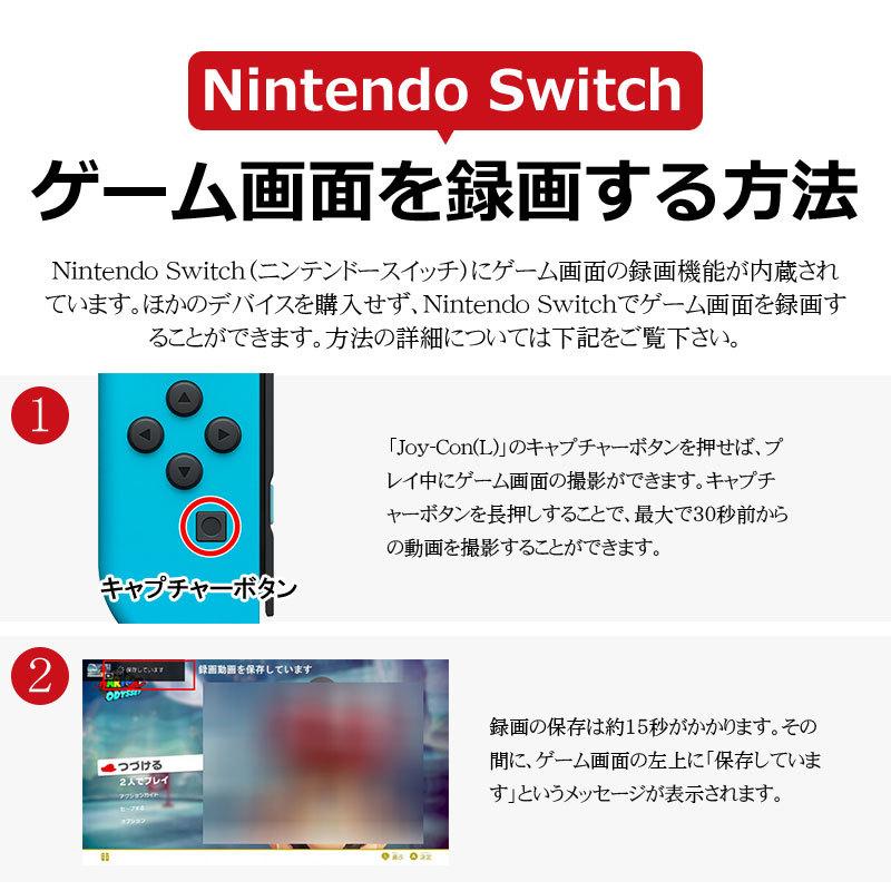 SanDisk（サンディスク） ポイント2倍 microSDXC 128GB for Nintendo