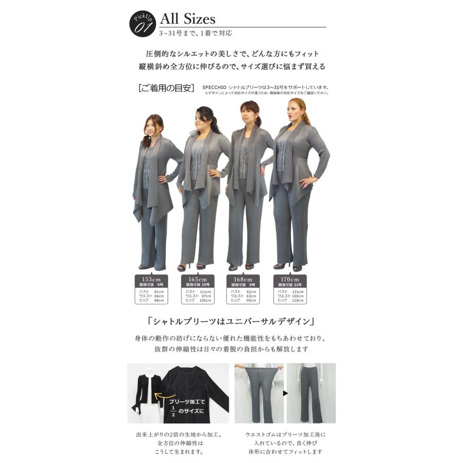 SPECCHIO 公式店 スペッチオ 五分袖 ブラウス プリーツ Tシャツ レディース 半袖 体型カバー フォーマル きれいめ おしゃれ 大きいサイズ 速乾 ノーアイロンの画像