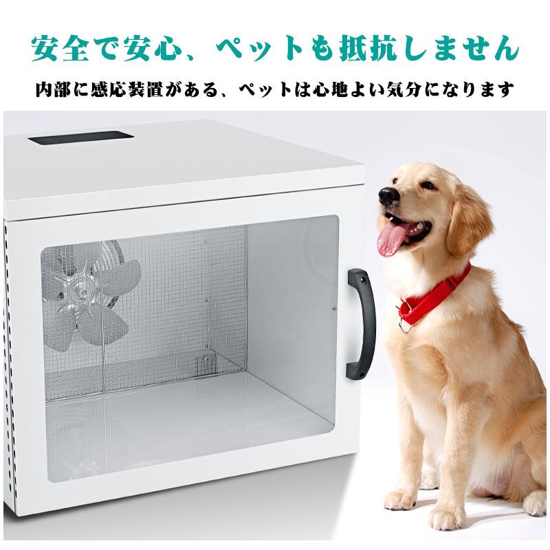 品質満点 速乾 お風呂後 バスグッズ 全自動ペット乾燥箱 兼用乾燥 犬 猫 通気 お風呂後速乾 ペット乾燥箱バスグッズ 通気 ペット オゾン消毒 陰イオンドライヤー ゴールデンレトリバーペット乾燥袋 乾燥ケース 兼用 犬 猫 お手入れ トリミング用品 Albinofoundation Org