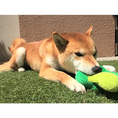 犬のおもちゃ スクィーキー ブロッコリー k Specialeヤフーショップ 通販 Yahoo ショッピング