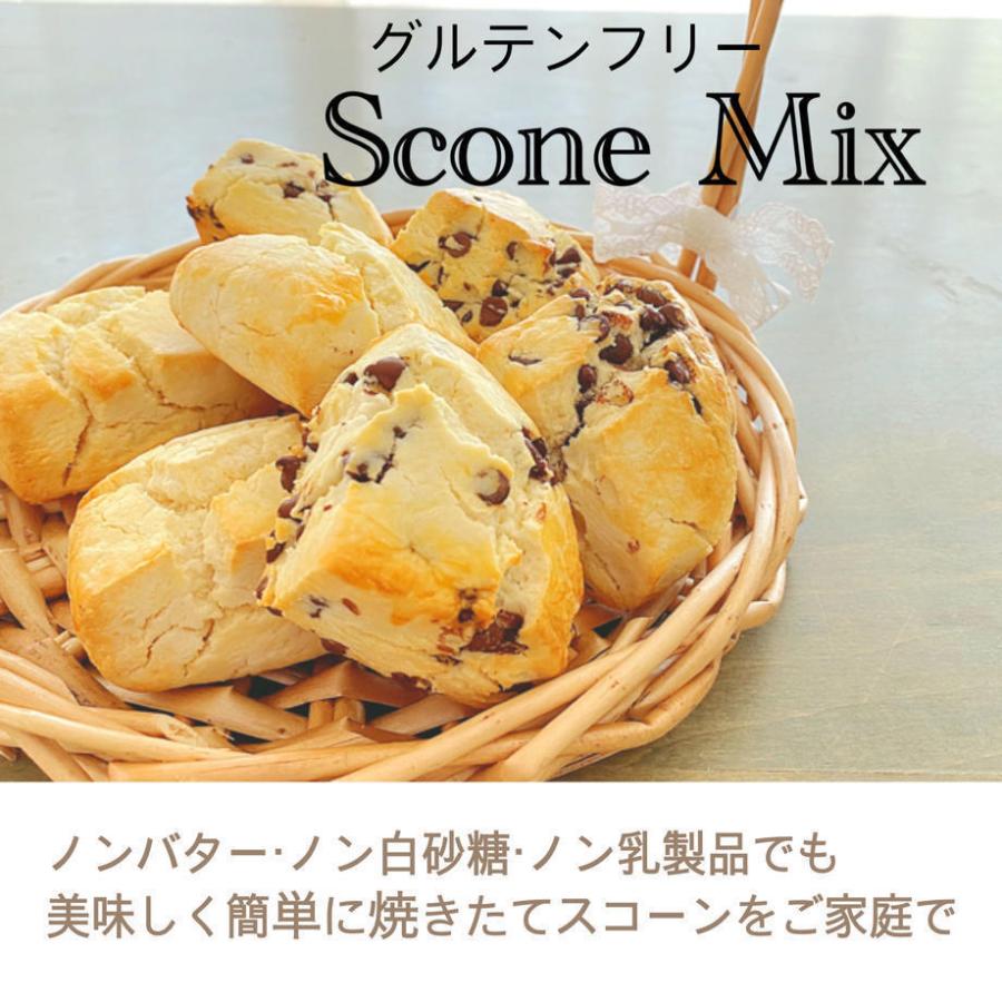 お菓子 プレゼント 贈り物 グルテンフリー スコーンミックス粉 スイーツ スコーン 手作りキット 低糖質 糖質制限 健康 ダイエットフード 米粉 Gurutenfree11 Specialite 通販 Yahoo ショッピング