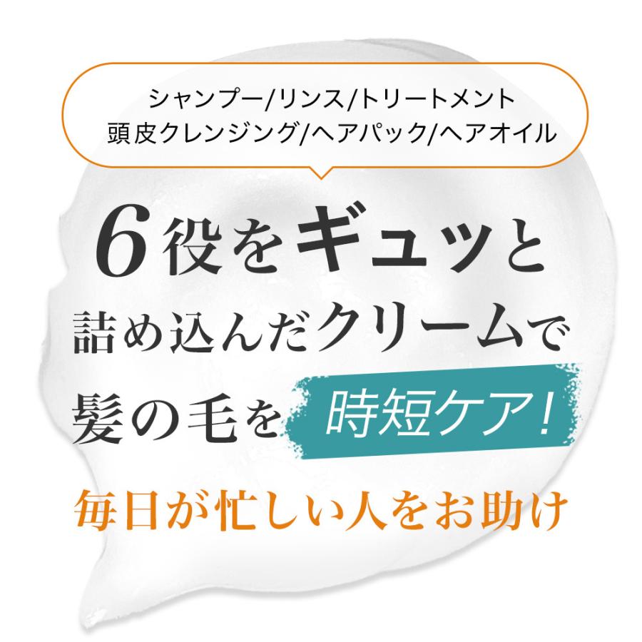 お得な特別限定価格】クリームシャンプー 300g 購入制限なし 低刺激