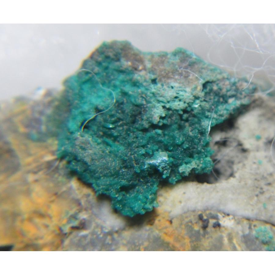ZINCOLIBETHENITE(燐亜鉛銅鉱)滋賀県緑台0086 : ラピス - 通販 - Yahoo