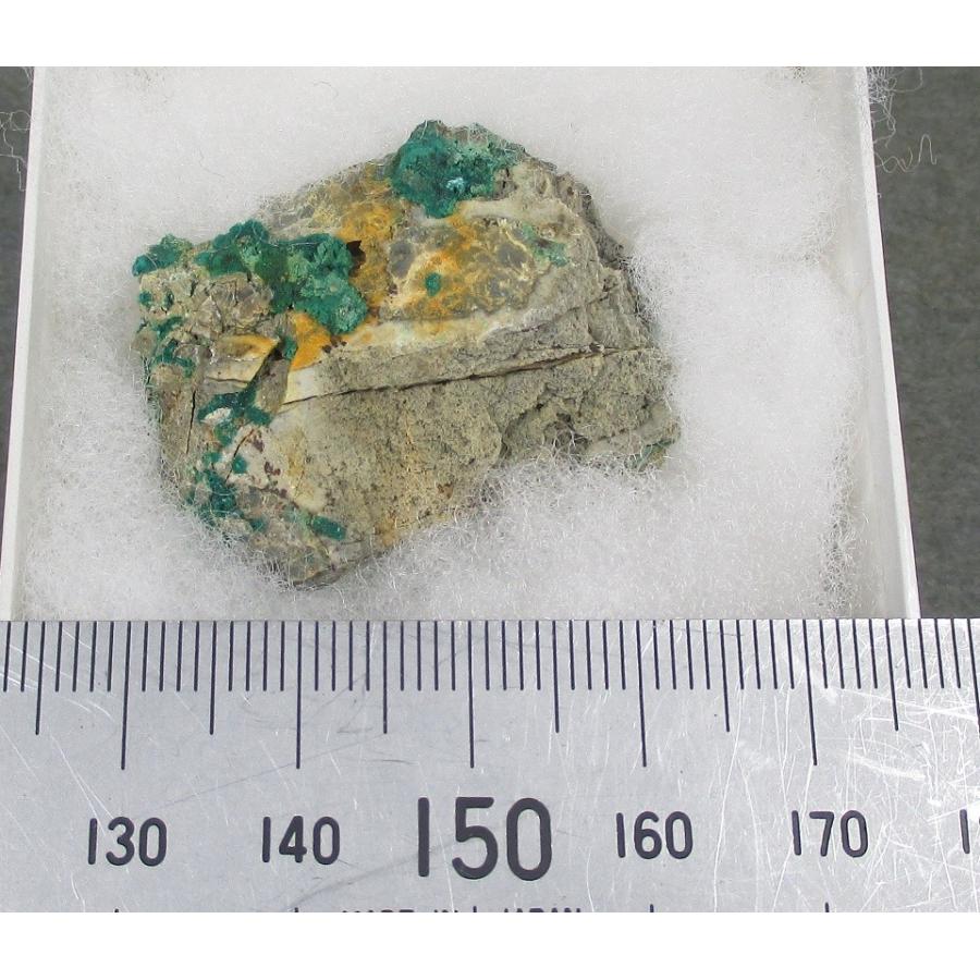 ZINCOLIBETHENITE(燐亜鉛銅鉱)滋賀県緑台0086 : ラピス - 通販 - Yahoo