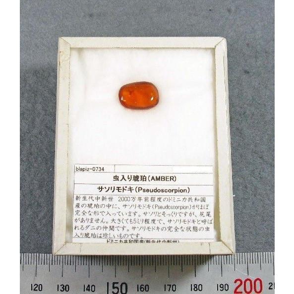 約 1cmの 珍しい ブラジル産 琥珀 約 1cmの 珍しい ブラジル産 琥珀