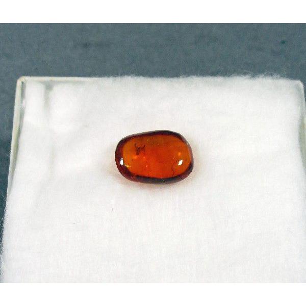 ドミニカ産琥珀　虫入り琥珀　約4・5グラム ギャラリーメイスン / 虫入り琥珀(コハク)ドミニカ産