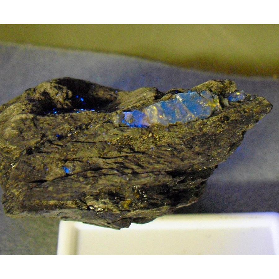 琥珀 Amazon | [N2 stone Natural] 天然化石 虫入り琥珀 (コハク