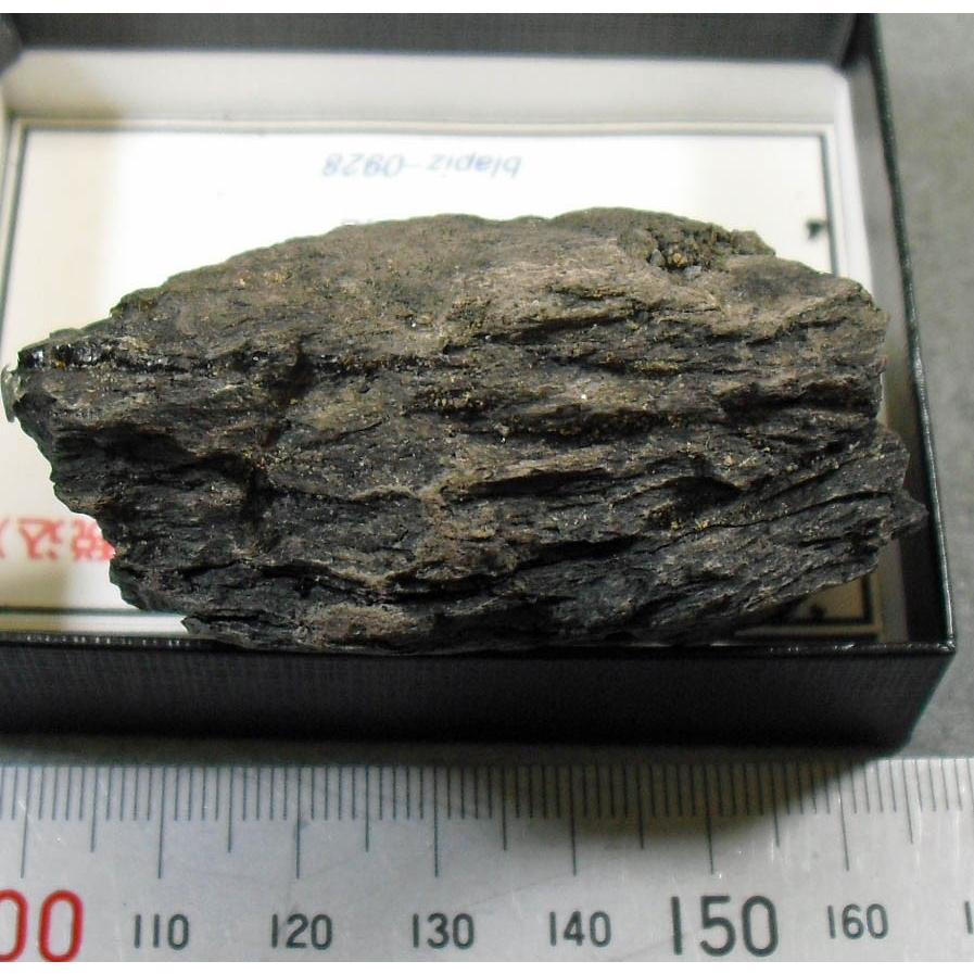 Amber(琥珀)北海道三笠市奔別blapiz-0928 : ラピス - 通販