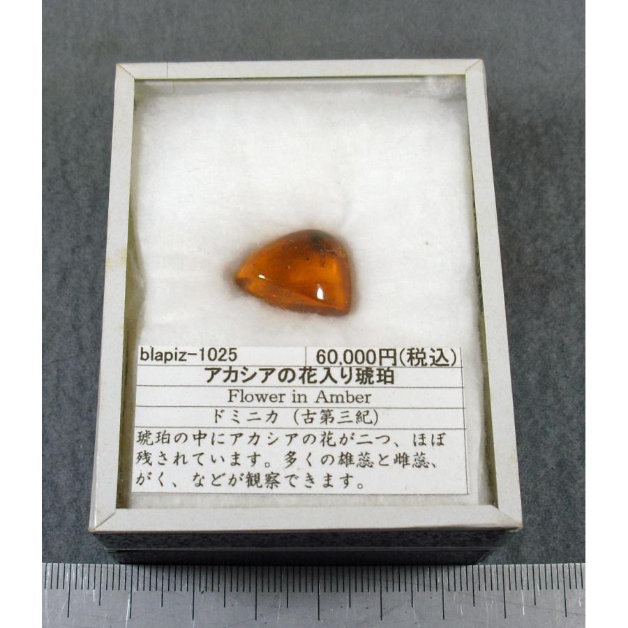 アカシアの花入り琥珀ドミニカ産blapiz-1025 : ラピス - 通販 - Yahoo