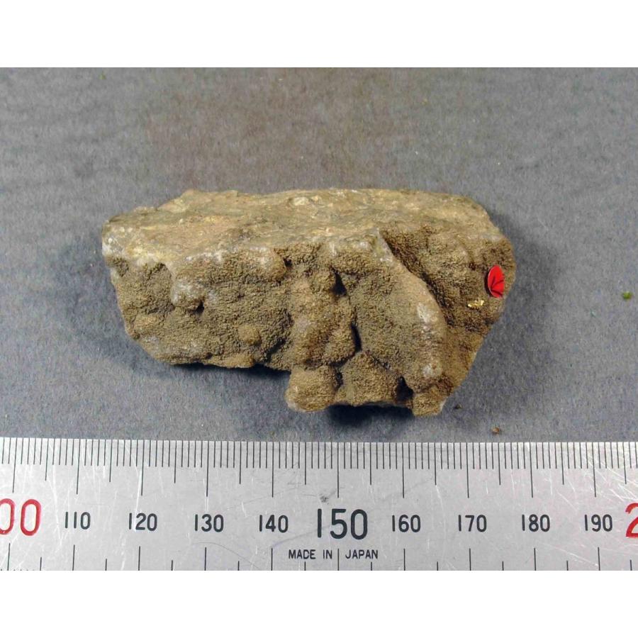 GOLD(自然金)群馬県みなかみ町天沼鉱山1402 : ラピス - 通販