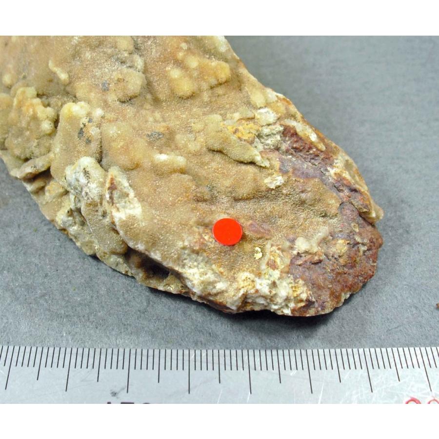 GOLD(自然金)群馬県みなかみ町天沼鉱山1403 : ラピス - 通販