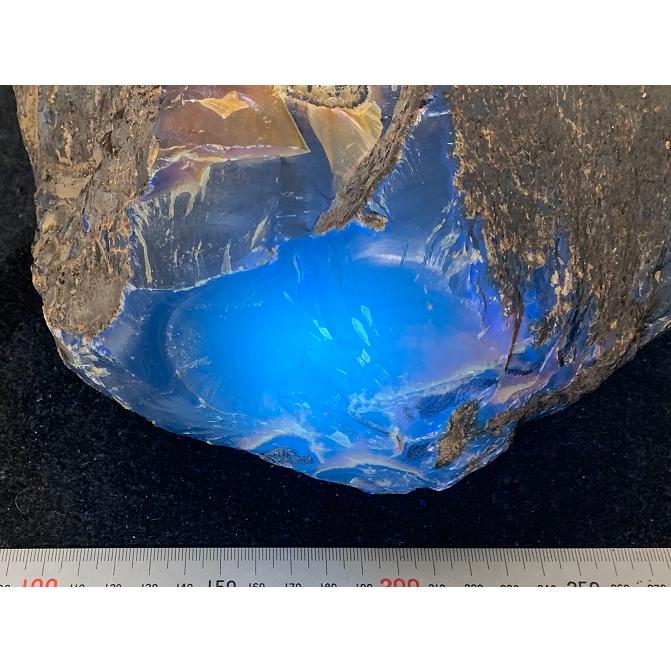 ブルーアンバーインドネシア産blapiz-1869｜specimen-lapiz｜14