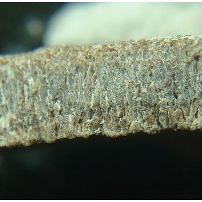 恐竜の卵（サルタザウルス）の化石2032 : ラピス - 通販 - Yahoo