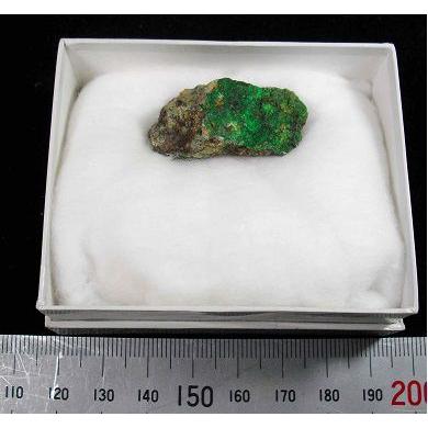 Conichalcite コニカルコ石 鉱物標本 鉱物標本 原石 コニカルコ石 Conichalcite メキシコ産 : PEN