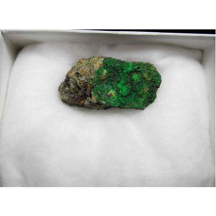 CONICHALCITE(コニカルコ石)山口県喜多平鉱山9181 : ラピス