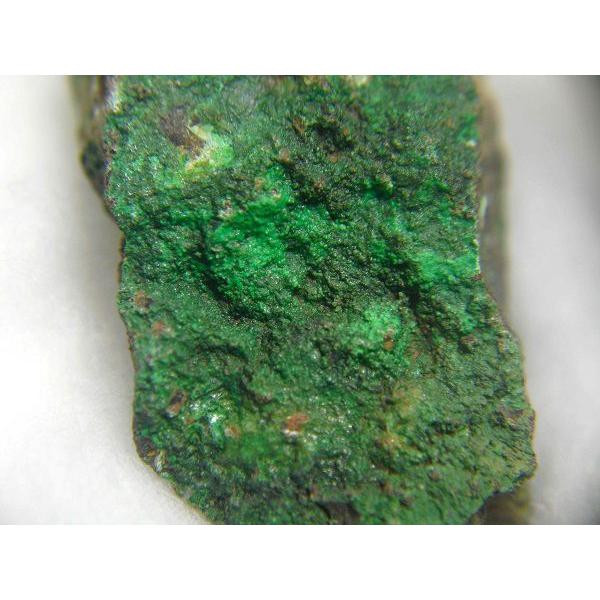 CONICHALCITE(コニカルコ石)山口県喜多平鉱山9181 : ラピス