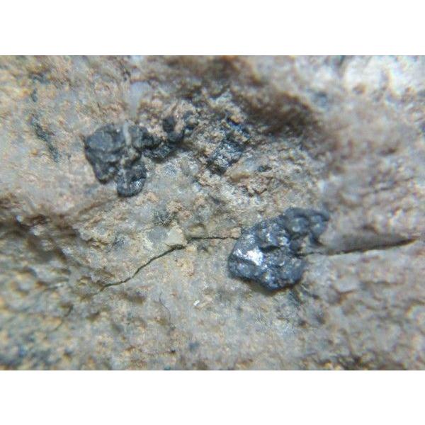 ACANTHITE：Argentite(針銀鉱：輝銀鉱)静岡県清越鉱山1210