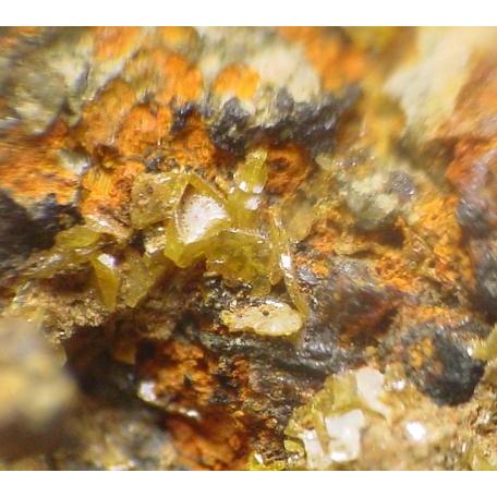 WULFENITE(モリブデン鉛鉱)福井県中竜鉱山仙翁谷坑2546 : ラピス