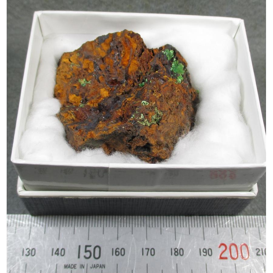 CONICHALCITE(コニカルコ石)山口県喜多平鉱山5369 : ラピス