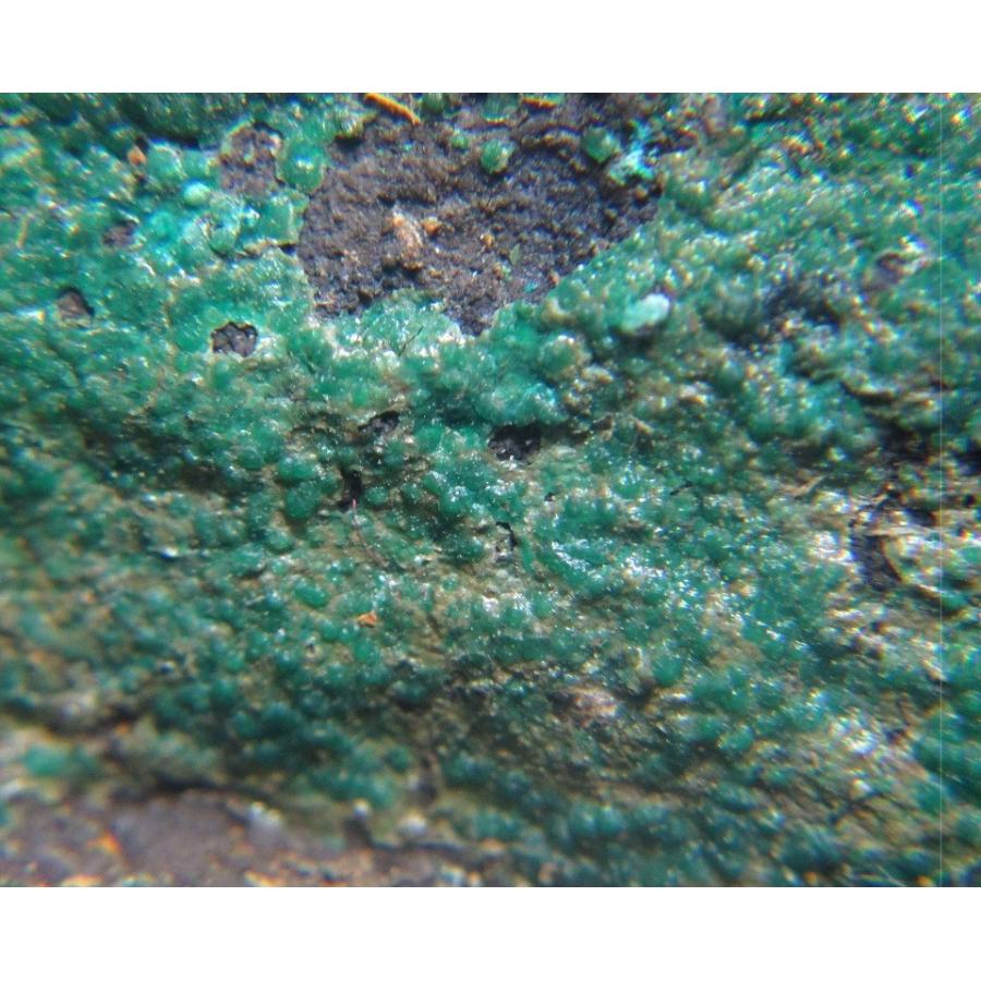 亜鉛鉱山 楽天市場】秋田県 尾去沢鉱山産 銅 亜鉛鉱石 377g 閃亜鉛鉱 せん