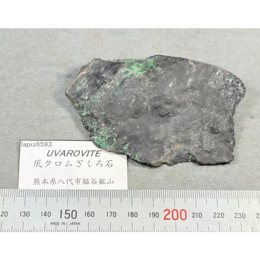 UVAROVITE(灰クロムざくろ石)熊本県猫谷鉱山6593 : ラピス - 通販