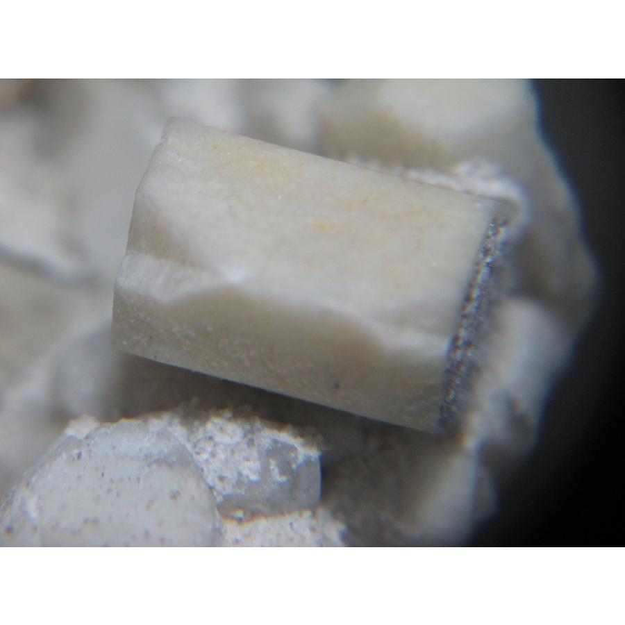 Potassium feldspar(カリ長石：マネバッハ式双晶)岐阜県蛭川田原6690