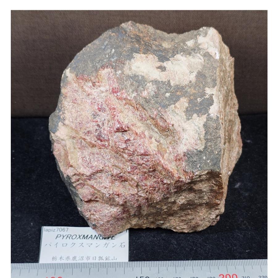 PYROXMANGITE(パイロクスマンガン石)栃木県日瓢鉱山7067