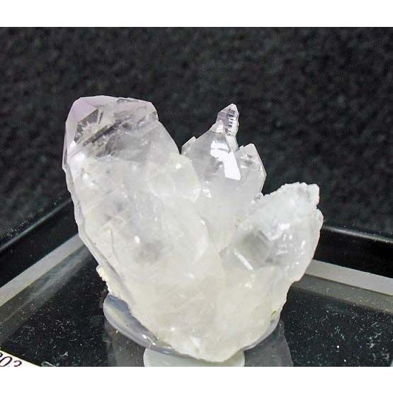 松茸紫石英QUARTZsqa-203 その他コレクション、趣味-楽器、手芸、コレクション-コレクション、趣味