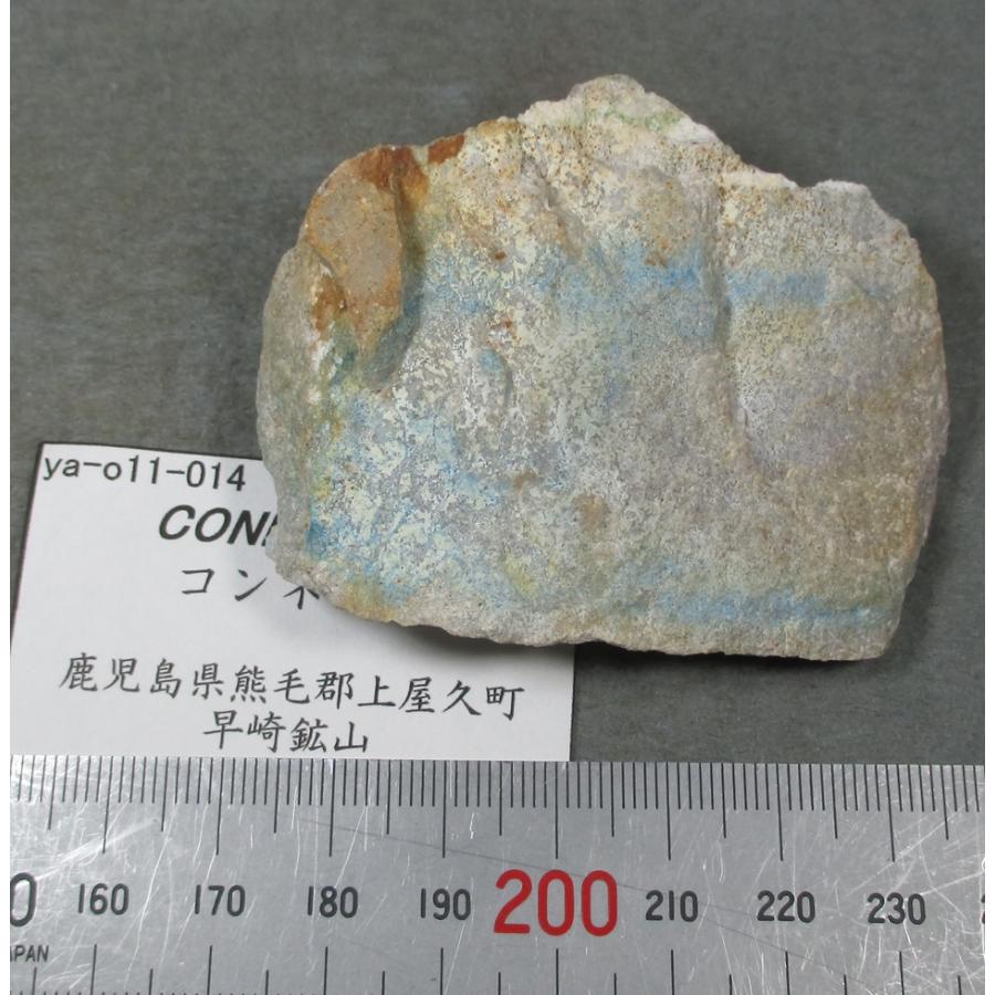 端渓石 端渓石蝶翅硯 文化遺産オンライン