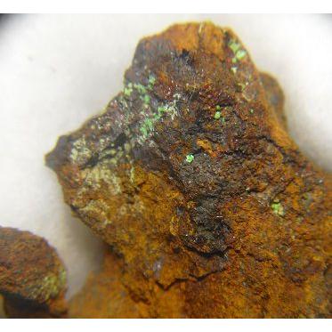 CONICHALCITE(コニカルコ石)山口県喜多平鉱山6050 : ラピス - 通販