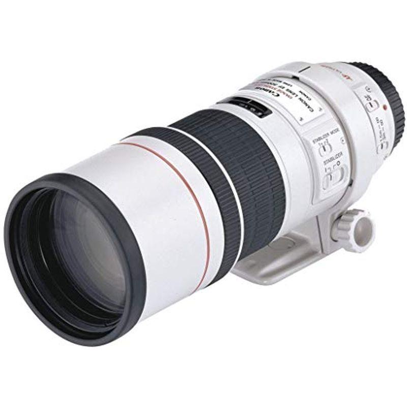 Canon EF 300mm F4 L IS USM レンズ (手ブレ補正) Women and Dreams