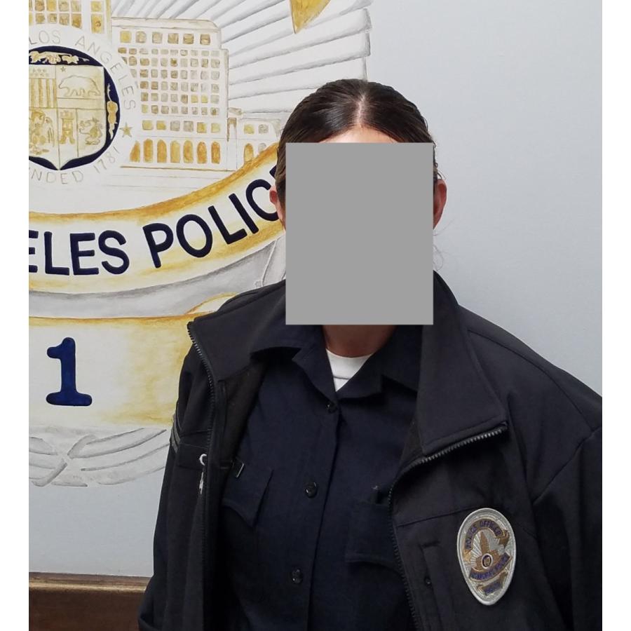 ロサンゼルス市警 パッチセット PO : SPECTRE SIGNS GEAR - 通販