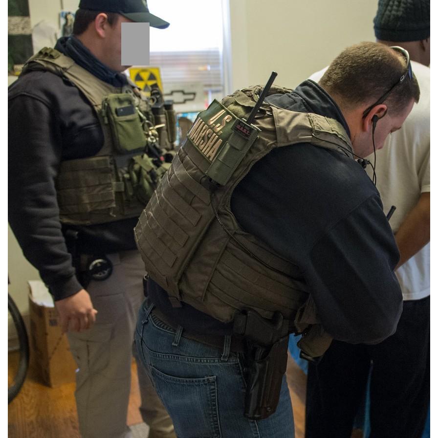 Eagle UAV-LE USマーシャル仕様 : SPECTRE SIGNS GEAR - 通販