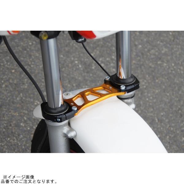 G-craft Gクラフト 31248 エイプタイプD用 ダウンフェンダーステー