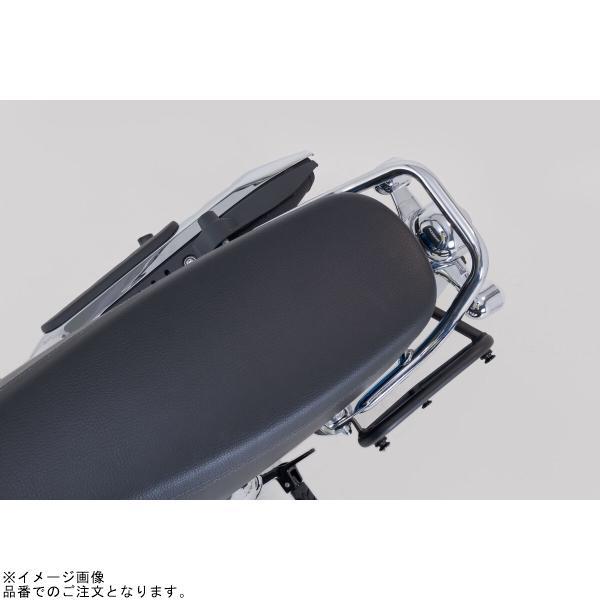 SW-MOTECH SWモテック HTA0120310000 SLC サイドキャリア (左) DAX125_3