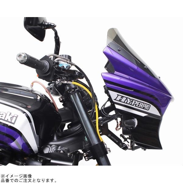 cool専用 ACTIVE アクティブ 1990144 カウルマウントステー ZRX1200 DAEG