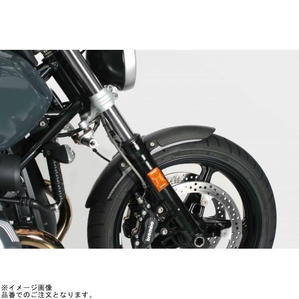 NEXRAY ネクスレイ 31891901 フロントフェンダー セミグロス BMW R nineT Pure/RACERの画像