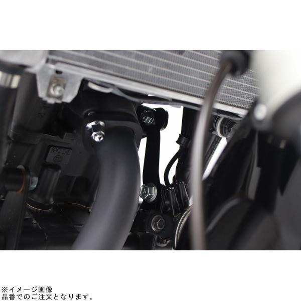 ACTIVE アクティブ 13691103 パフォーマンスダンパーR CB250Rの画像