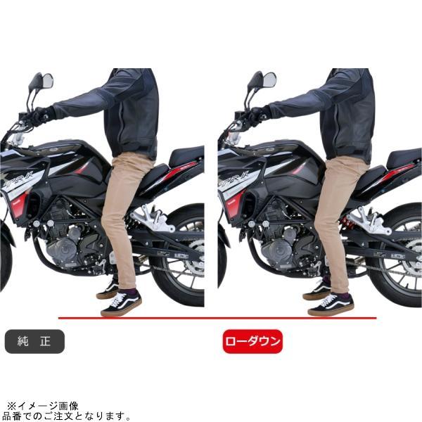 EFFEX PHAB003D ローダウンキット 約17mmダウン TRK 251の画像