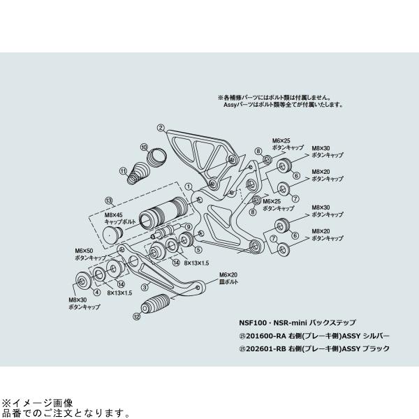 シフトアップ SHIFTUP 202601-6G-10 NSF100 バックステップ リア