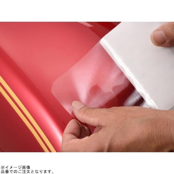 試供品 DAYTONA（バイク用品） DAYTONA デイトナ 14181 ハイプロテクション