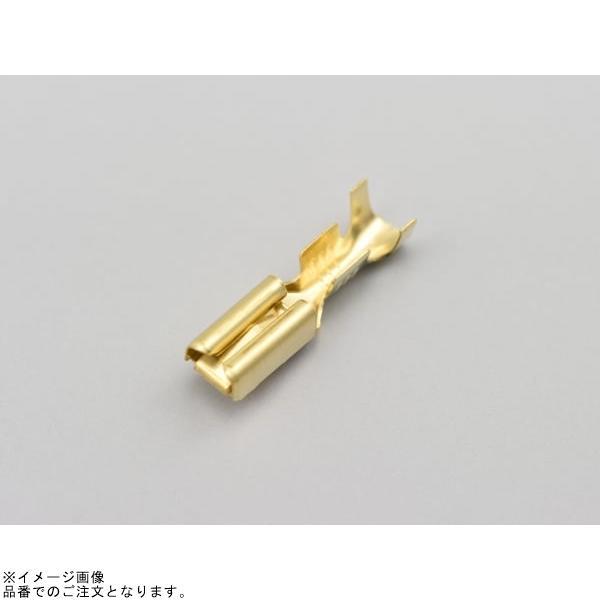 DAYTONA（デイトナ） 96167 コネクターセット110型 2極 : SPEED EDGE