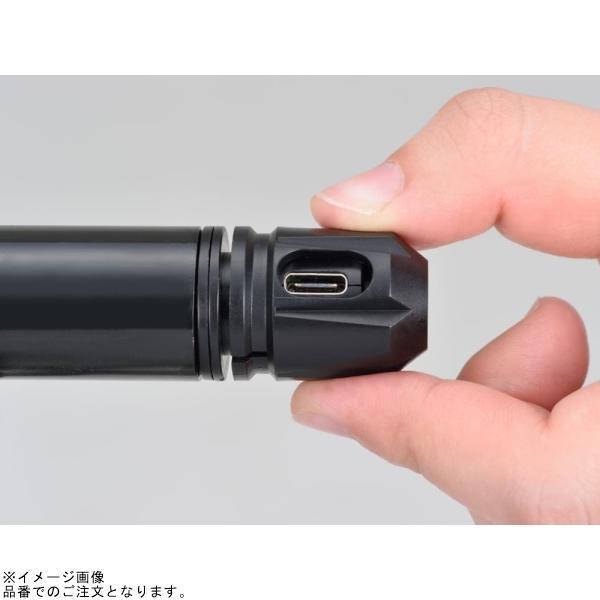 DAYTONA（デイトナ） 17674 マルチバーUSB電源 Type-C マスター