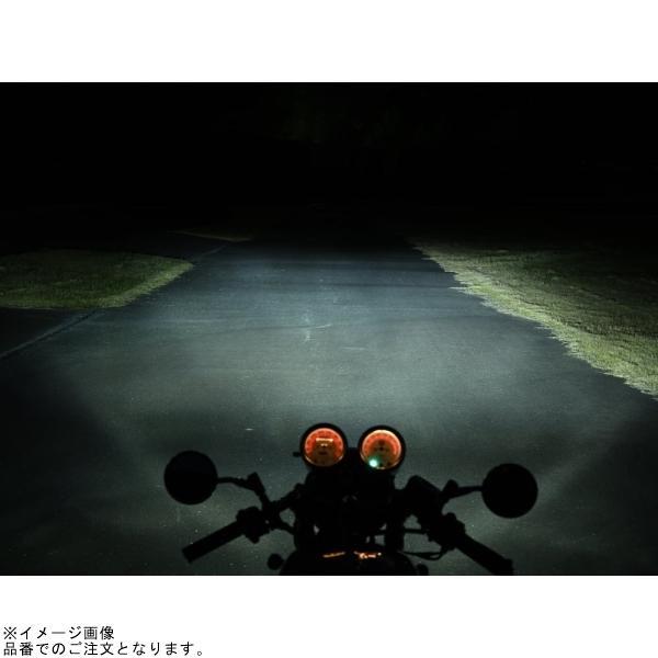 DAYTONA デイトナ 97242 LEDヘッドランプバルブ プレシャス・レイ Z2