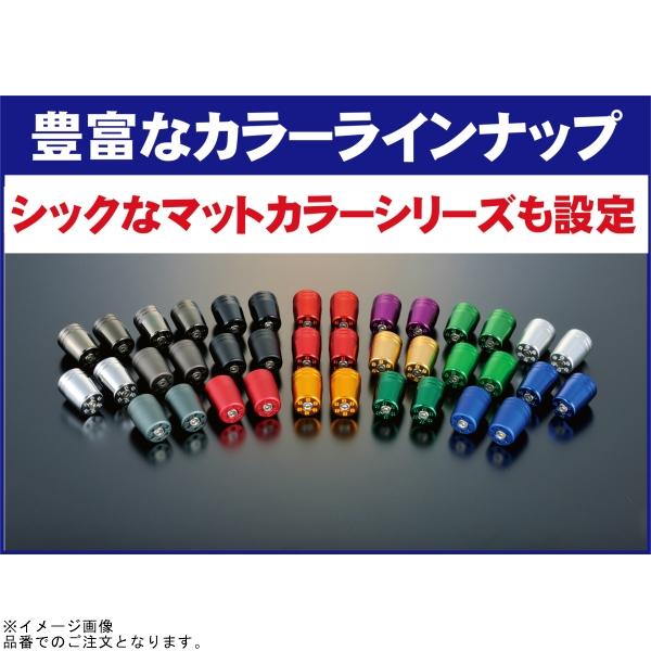 POSH（ポッシュ） 031279-12-10 ウルトラヘビーウェイトバーエンド