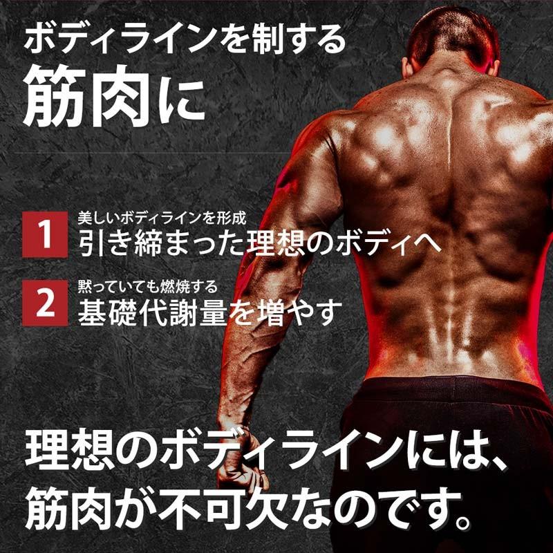 チャンピオン ピュアホエイプラス プロテインスタック チョコレートブラウニー 2 18kg ダイエット Cp 11420 アメリカサプリ専門スピードボディ 通販 Yahoo ショッピング