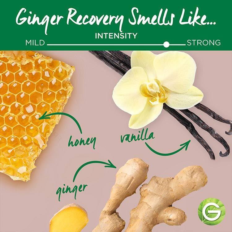 ガルニエ ホールブレンド ジンジャー リカバリー シャンプーバー 60g (2oz) Garnier Whole Blends Ginger Recovery Strengthening Shampoo Bar 固形｜speedbody｜04