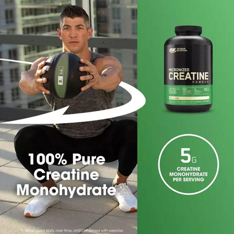Optimum Nutrition 【クーポンあり】マ イクロナイズド